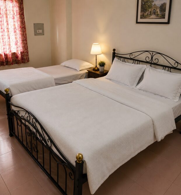 Hotel Amit Mahal